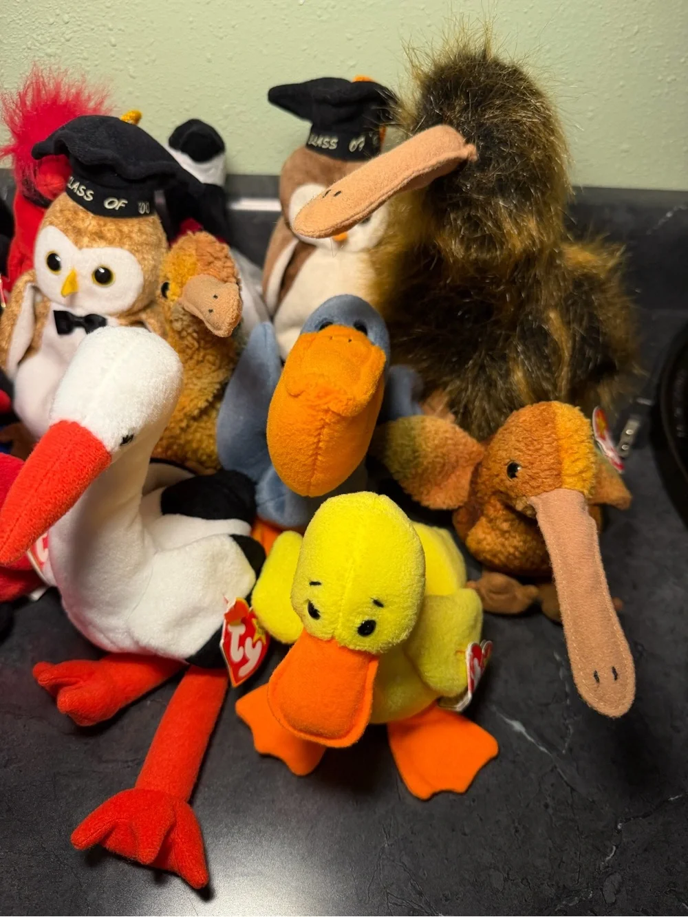 Ty Beanie Babies Bird and Graduation Owl Collection